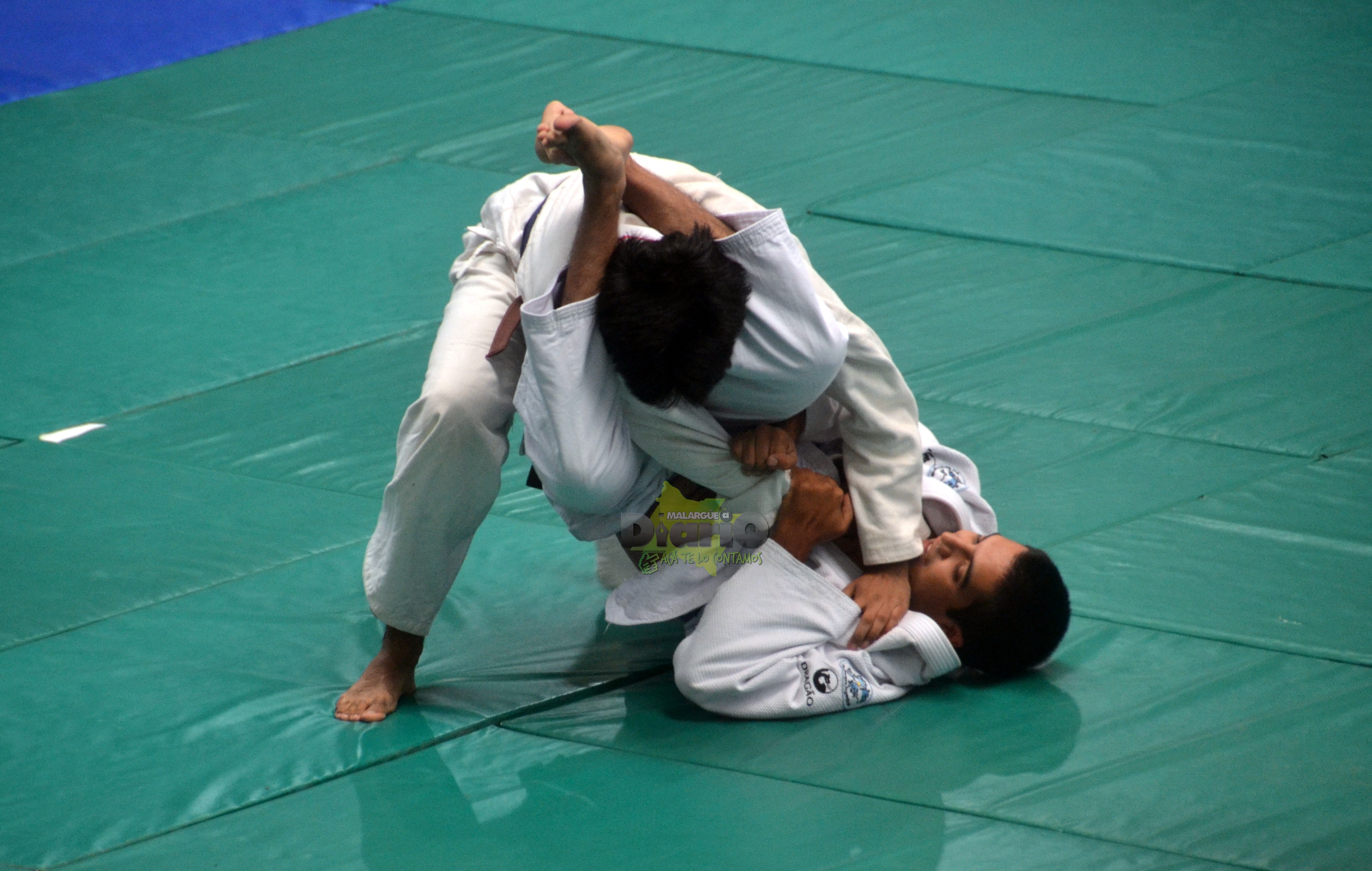 torneo de judo (19)