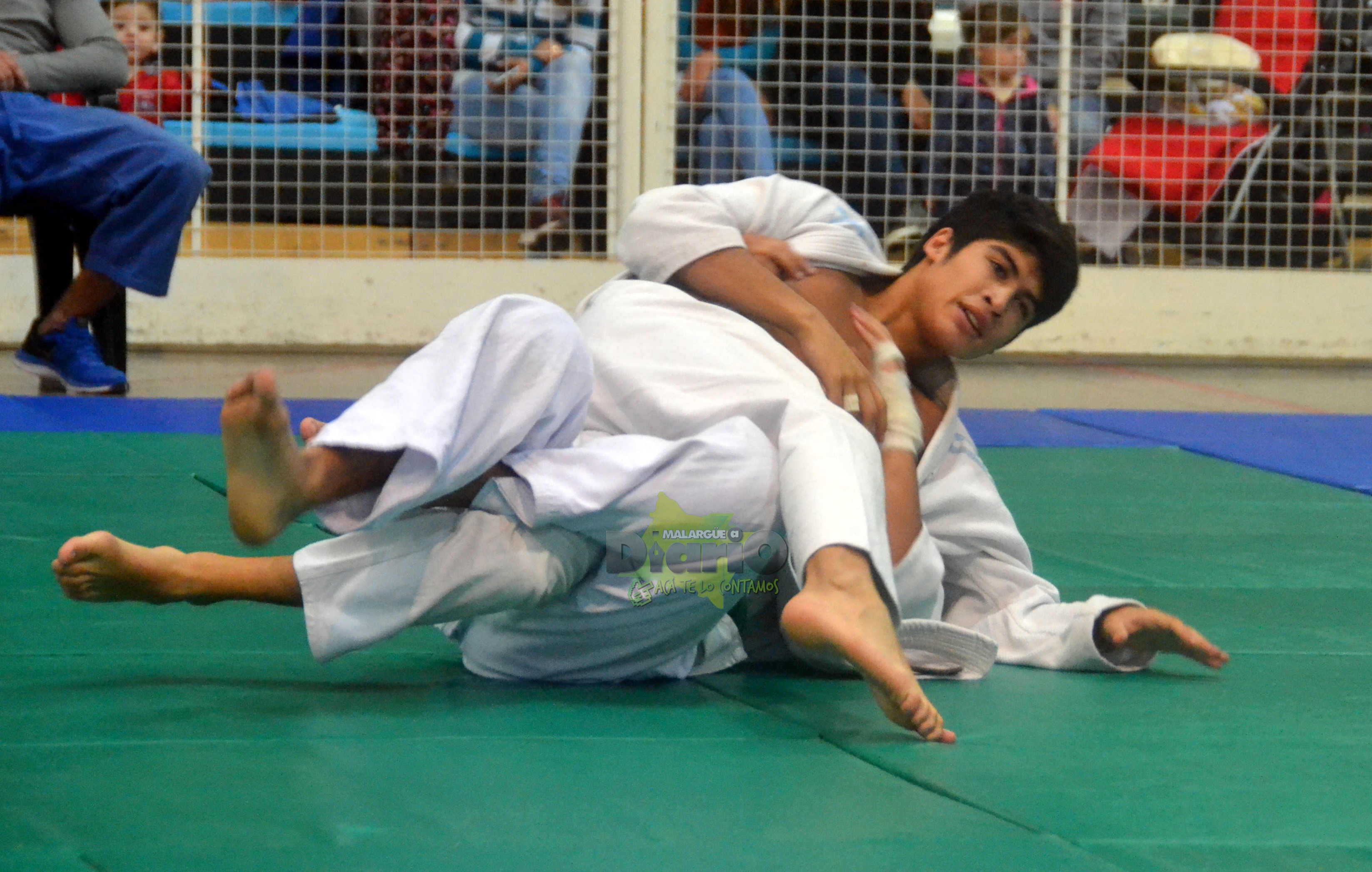 torneo de judo (43)