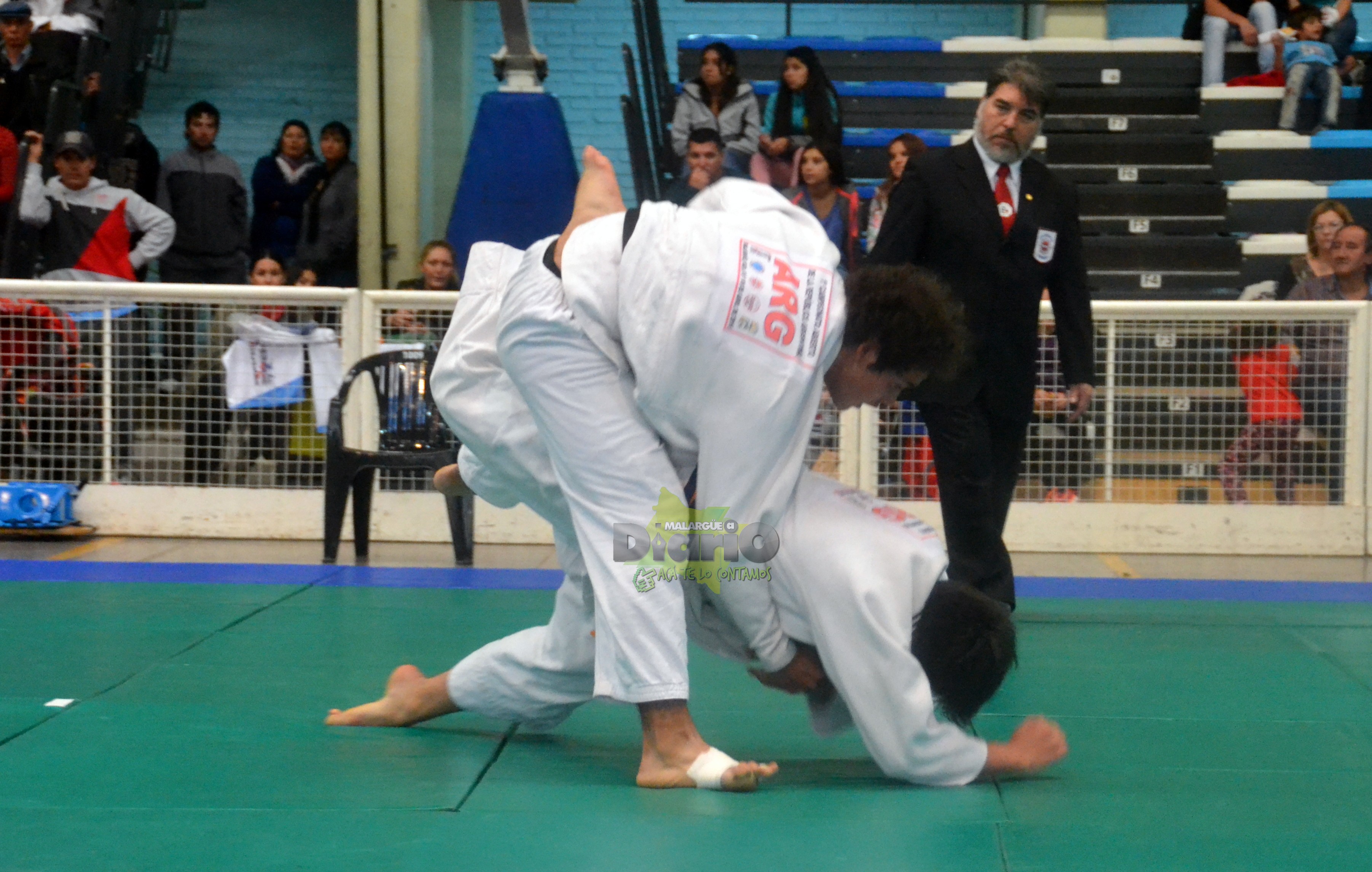 torneo de judo (45)