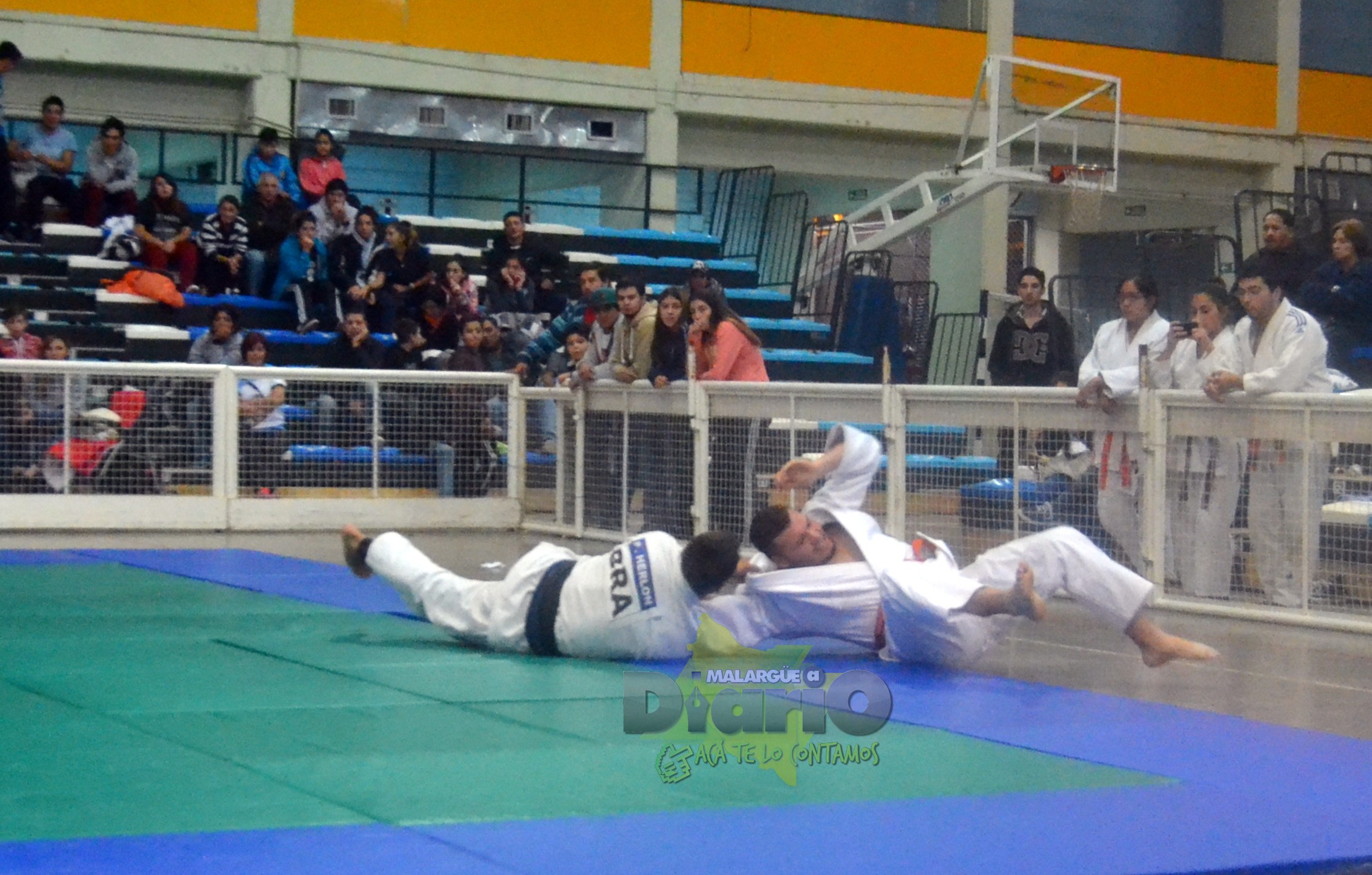 torneo de judo (46)