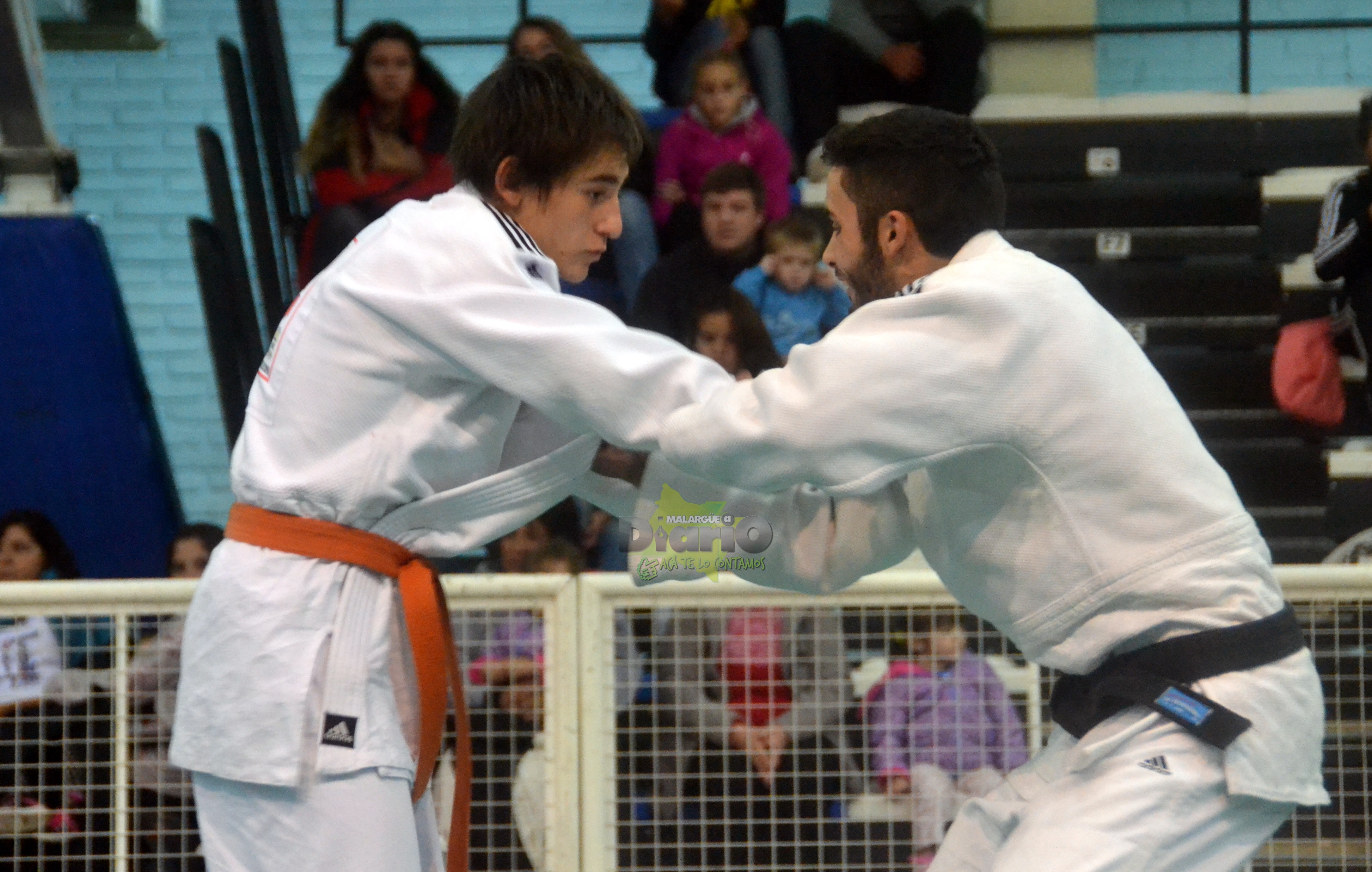 torneo de judo (50)