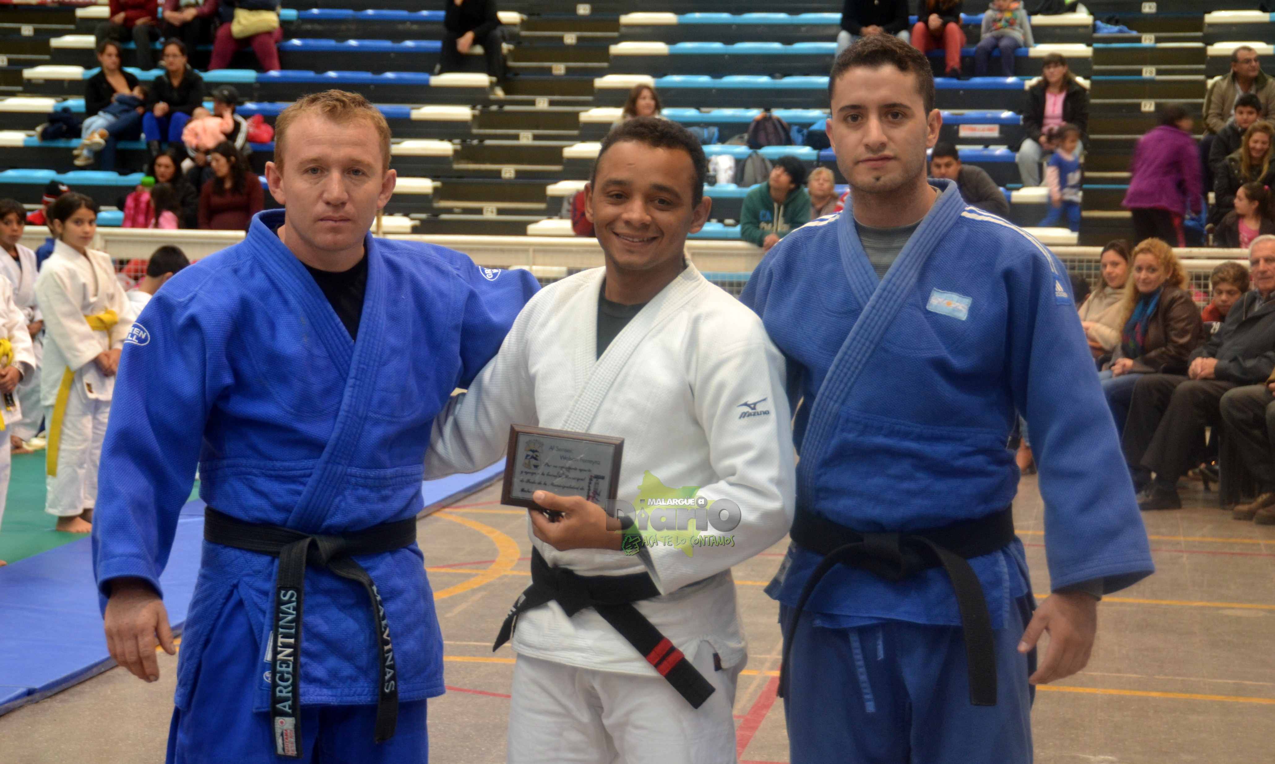 torneo nacional de judo 2016 (7)